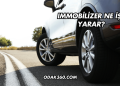 Immobilizer Ne İşe Yarar?
