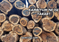 Kambiyum Ne İşe Yarar?
