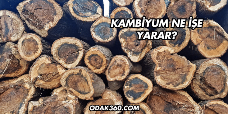 Kambiyum Ne İşe Yarar?