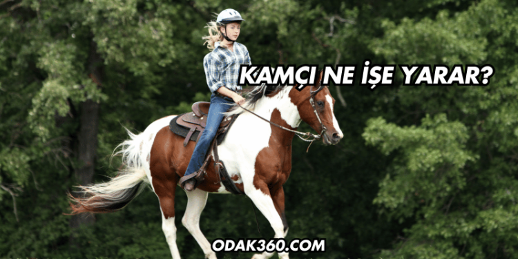 Kamçı Ne İşe Yarar?