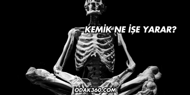 Kemik Ne İşe Yarar?