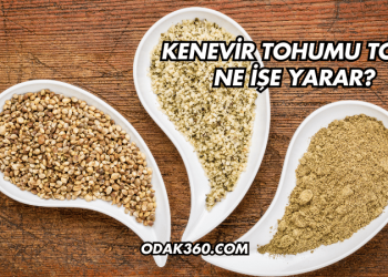 Kenevir Tohumu Tozu Ne İşe Yarar?