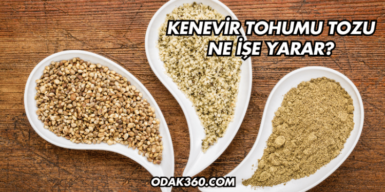 Kenevir Tohumu Tozu Ne İşe Yarar?