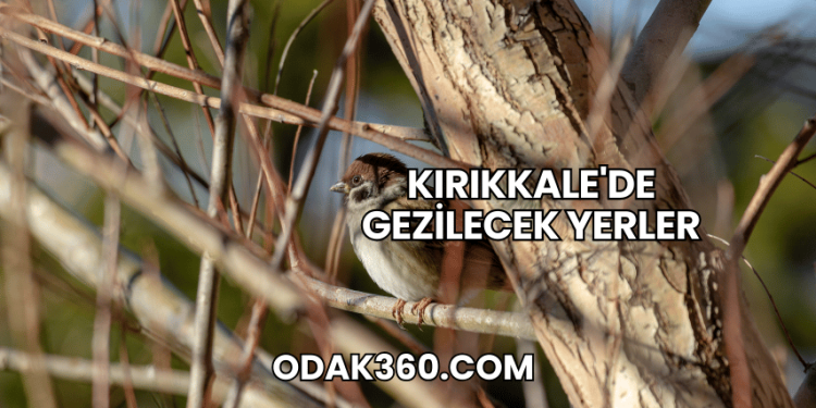 Kırıkkale'de Gezilecek Yerler