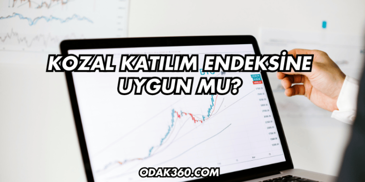 Kozal Katılım Endeksine Uygun mu?