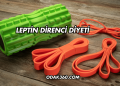 Leptin Direnci Diyeti