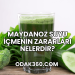 Maydanoz Suyu İçmenin Zararları Nelerdir?