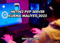 Metin2 PVP Server Kurma Maliyeti 2025