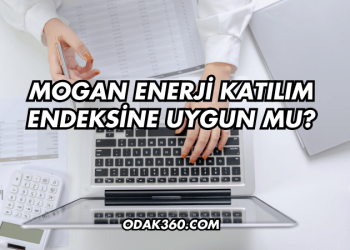 Mogan Enerji Katılım Endeksine Uygun mu?