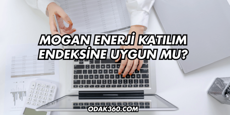 Mogan Enerji Katılım Endeksine Uygun mu?