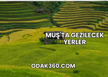 Muş'ta Gezilecek Yerler