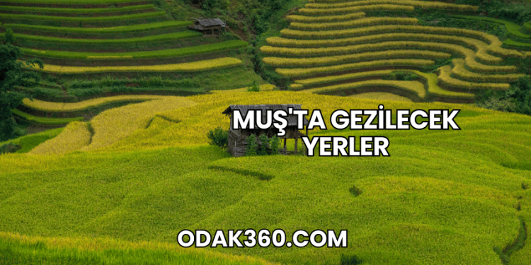 Muş'ta Gezilecek Yerler