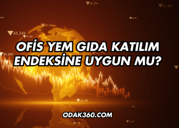 Ofis Yem Gıda Katılım Endeksine Uygun mu?
