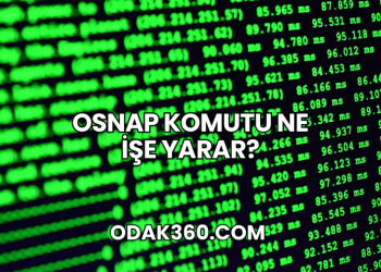 Osnap Komutu Ne İşe Yarar?