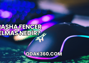 Pasha Fencer Elmas Nedir?