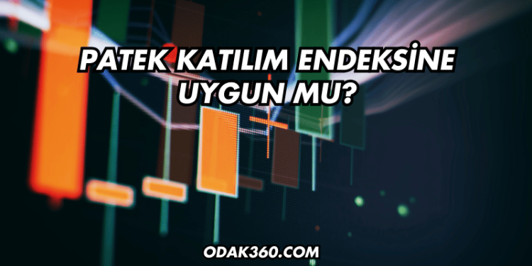 Patek Katılım Endeksine Uygun mu?