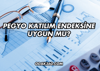 Pegyo Katılım Endeksine Uygun mu?