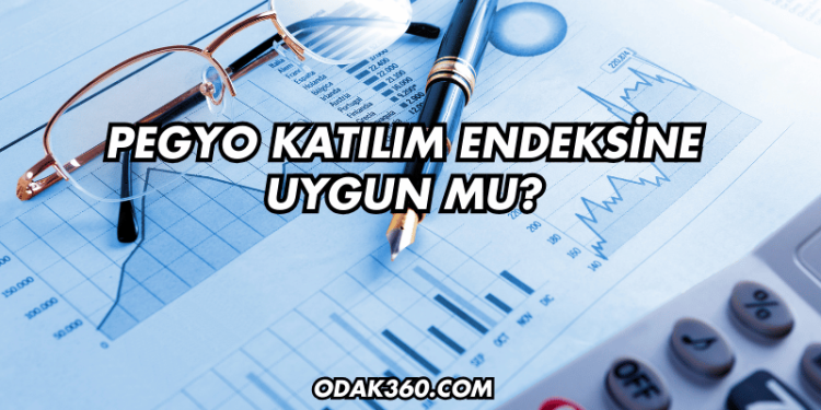 Pegyo Katılım Endeksine Uygun mu?