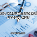 Pegyo Katılım Endeksine Uygun mu?