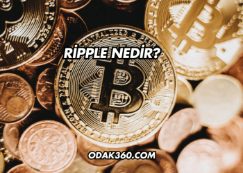 Ripple Nedir?