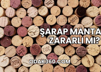 Şarap Mantarı Zararlı mı?