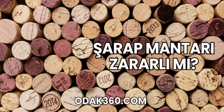 Şarap Mantarı Zararlı mı?