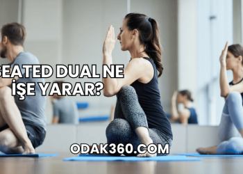 Seated Dual Ne İşe Yarar?