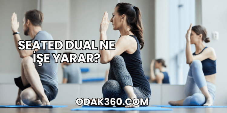 Seated Dual Ne İşe Yarar?
