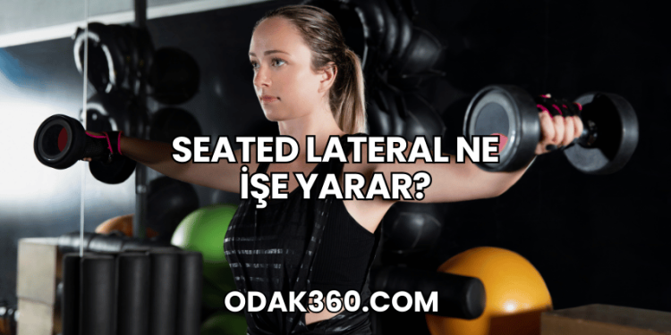 Seated Lateral Ne İşe Yarar?