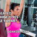 Seated Machine Flyes Ne İşe Yarar?