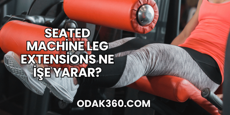 Seated Machine Leg Extensions Ne İşe Yarar?