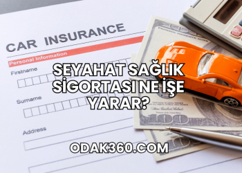 Seyahat Sağlık Sigortası Ne İşe Yarar?