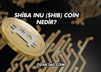 Shiba Inu (SHIB) Coin Nedir?
