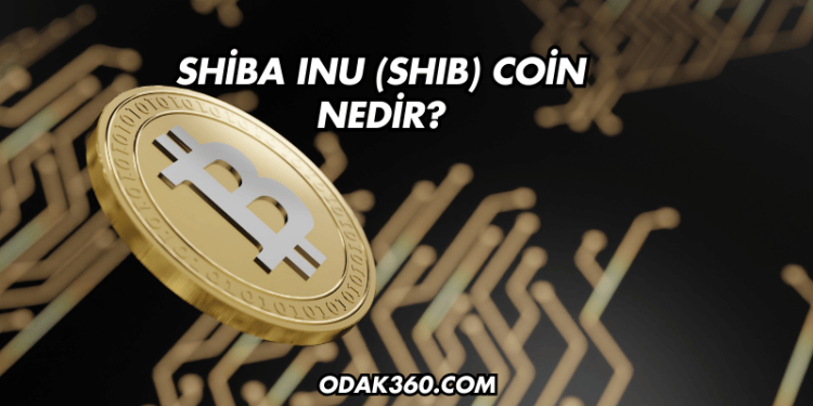 Shiba Inu (SHIB) Coin Nedir?