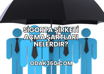Sigorta Şirketi Açma Şartları Nelerdir?