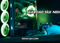 Silkroad Silk Nedir?