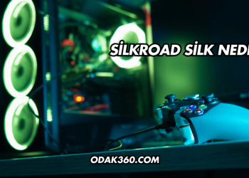 Silkroad Silk Nedir?