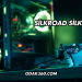 Silkroad Silk Nedir?