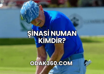 Şinasi Numan Kimdir?