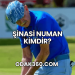 Şinasi Numan Kimdir?