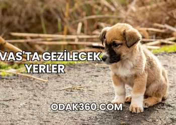 Sivas'ta Gezilecek Yerler