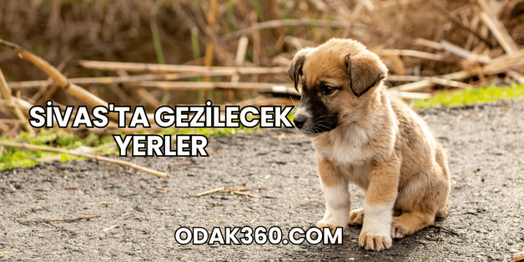 Sivas'ta Gezilecek Yerler