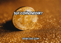 Sui Coin Nedir?
