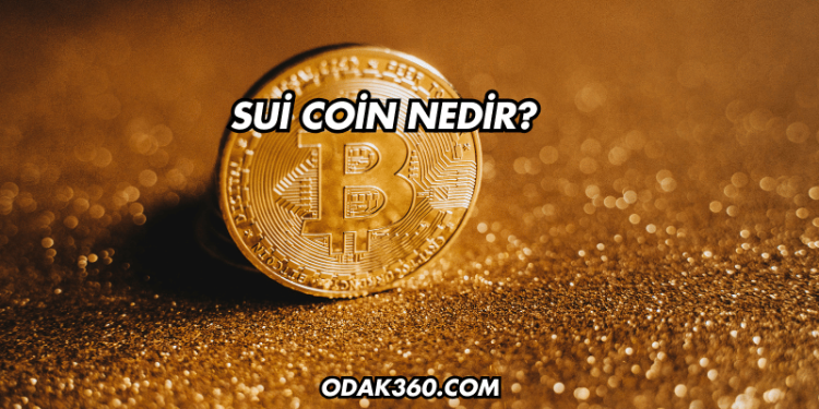Sui Coin Nedir?