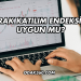 TTRAK Katılım Endeksine Uygun mu?