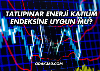 Tatlıpınar Enerji Katılım Endeksine Uygun mu?