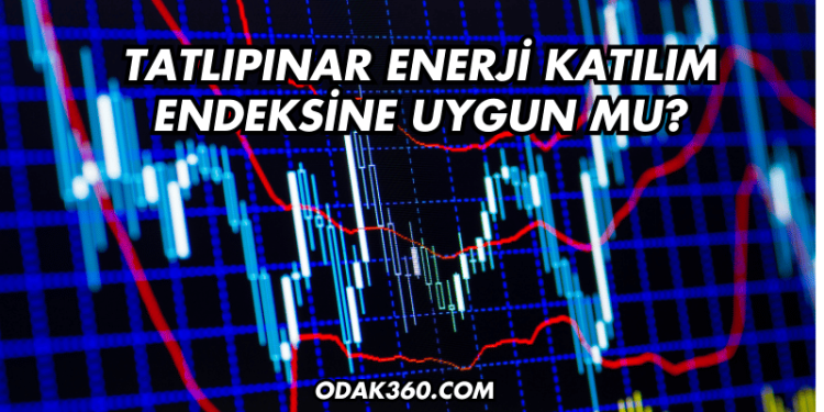 Tatlıpınar Enerji Katılım Endeksine Uygun mu?