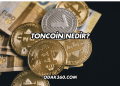 Toncoin Nedir?