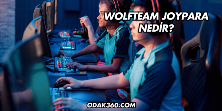 Wolfteam JoyPara Nedir?