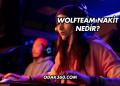 Wolfteam Nakit Nedir?